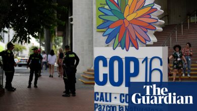 Cop16 : la Colombie se prépare à accueillir un sommet « décisif » sur la biodiversité | Cop16