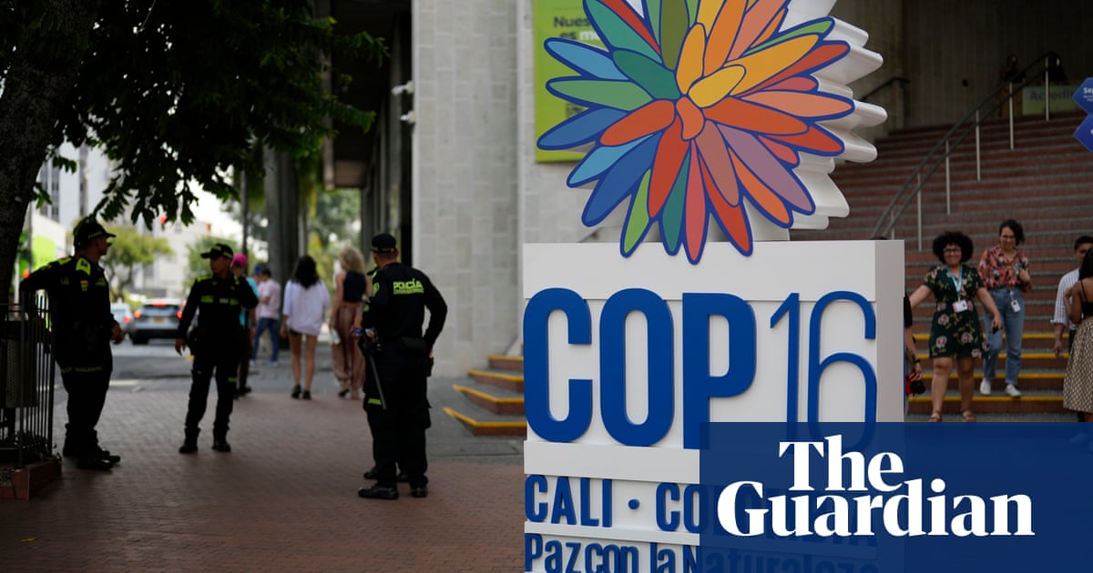 Cop16 : la Colombie se prépare à accueillir un sommet « décisif » sur la biodiversité | Cop16