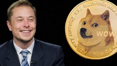 Elon Musk alimente le rallye Dogecoin – Meme Coin bondit de plus de 7 % après la publication « DOGE va le réparer »