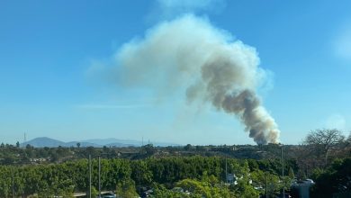 Feu de brousse brûlant près de l’Université d’État de San Diego – NBC 7 San Diego