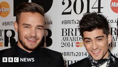 Zayn Malik reporte sa tournée aux États-Unis suite au décès de Liam Payne