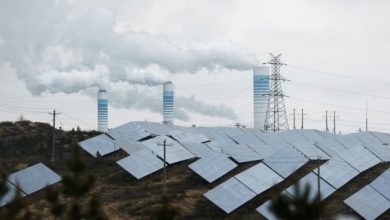 L’essor de l’énergie solaire fait entrer la planète dans « l’ère de l’électricité », selon l’agence de l’énergie