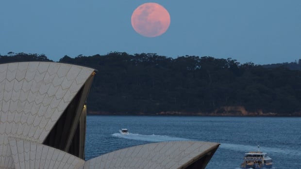 EN PHOTOS | Les astronomes reçoivent un cadeau 2 pour 1 avec une super lune et une comète