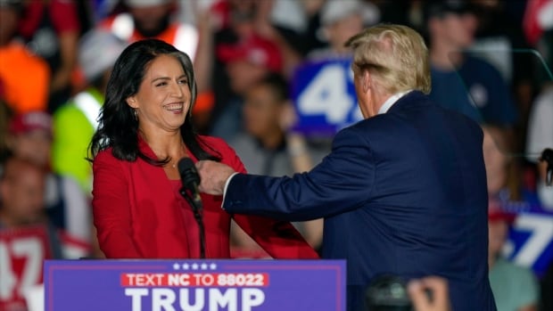 Qui est Tulsi Gabbard, et pourquoi les agences de renseignement occidentales pourraient-elles être mal à l’aise face au choix de Trump ?