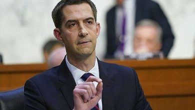 Alors que Trump forme un deuxième gouvernement, Cotton est « très heureux » au Sénat américain