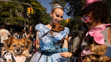 Halloween apportera des températures élevées dans une grande partie du Midwest et du Nord-Est