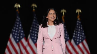 Trump nomme Gabbard au poste de chef du renseignement — RT World News