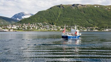 Un pêcheur norvégien « attrape » un sous-marin dans ses filets — RT World News