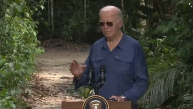 REGARDER Biden s’en va dans la jungle (VIDÉO) — RT World News