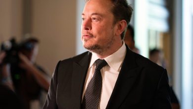 Les nouvelles maisons d’Elon Musk à Austin, d’une valeur de 35 millions de dollars, sont destinées aux enfants et à deux de leurs mères