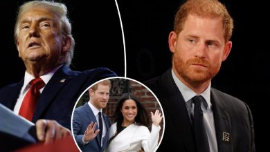 Donald Trump va-t-il expulser le prince Harry de sa présidence ?