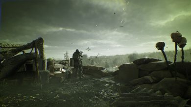 STALKER 2 propose-t-il un mode multijoueur coopératif et un jeu croisé ?