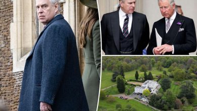 Le prince Andrew « lève deux doigts » au roi Charles, « déshonorant » la famille royale suite à l’impasse de la Royal Lodge : expert