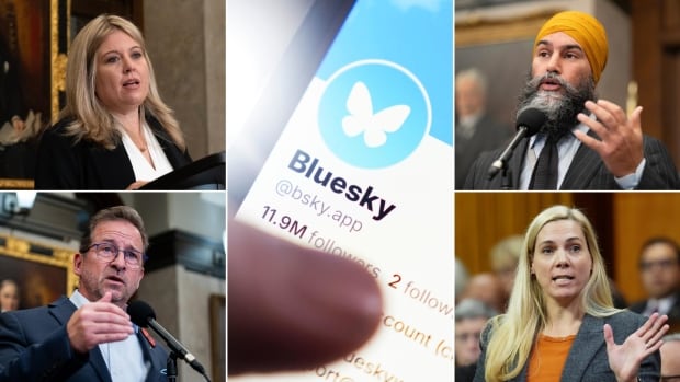 Les députés canadiens parmi les utilisateurs des médias sociaux passent de X à Bluesky à la suite du vote aux États-Unis