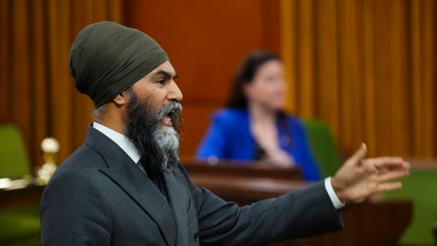 Singh demande à Ottawa d’étendre le rabais de 250 $ aux personnes âgées et aux Canadiens vulnérables