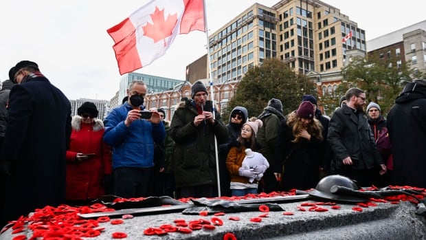 Les anciens combattants du Canada seront honorés lors de la cérémonie nationale du jour du Souvenir à Ottawa