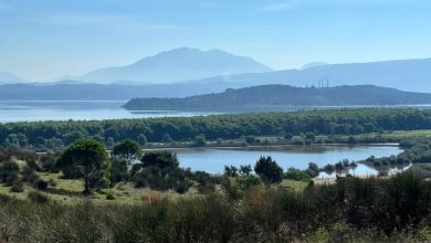 L’Albanie a donné le feu vert à un complexe hôtelier connecté à Trump qui pourrait mettre en danger les espèces d’oiseaux et de tortues