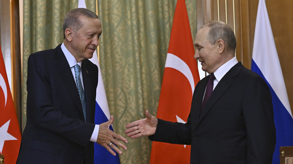 Poutine et Erdogan discutent de la crise syrienne — RT World News