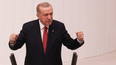 Erdogan souhaite bonne chance aux terroristes en Syrie — RT World News