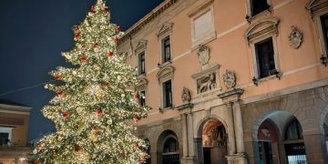 Pourquoi les arbres de Noël en Europe sont tellement moins chers qu’au Canada