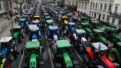 Les tracteurs bloquent le centre de Londres dans la protestation des agriculteurs massifs (vidéo) – RT World News