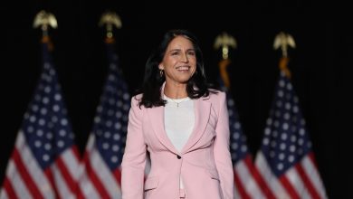 Tulsi Gabbard a confirmé en tant que directeur américain du renseignement national – RT World News