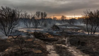 Nantes : 10 hectares ravagés par un incendie au chemin des Marais