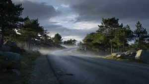 Saint-Genest-Malifaux : un cycliste de 76 ans tué sur la RD22