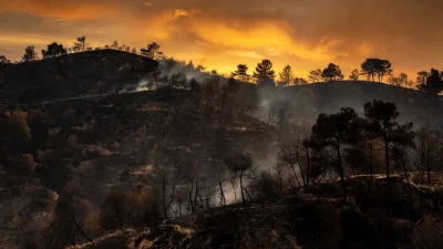 Var : 200 hectares brûlés à Taradeau et Les Arcs, enquête sur l&rsquo;origine du feu